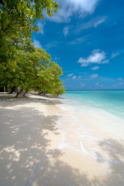 Free Discover tranquility on a secluded tropical beach with white sand, turquoise waters, and lush greenery. Stock Photo