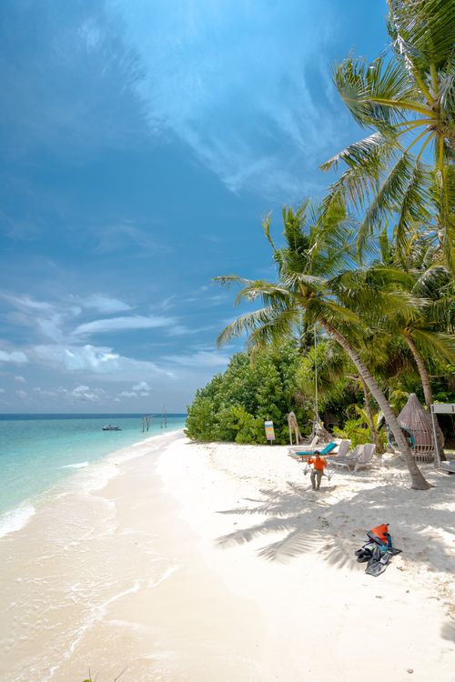 Free Relaxing tropical beach scene with palm trees, white sand, and turquoise sea, perfect for a vacation escape. Stock Photo