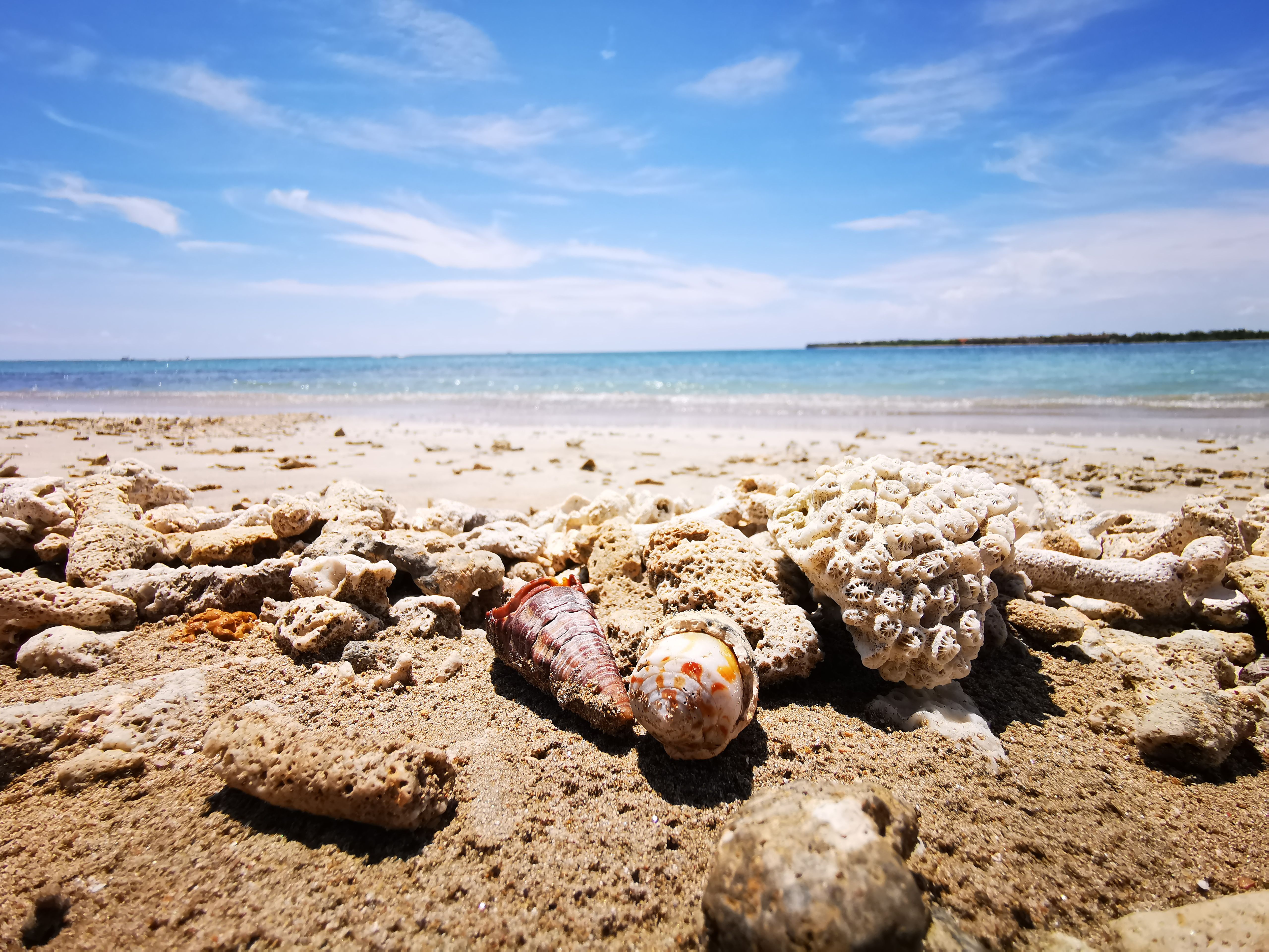 Pasikuda Beach: A Guide to Sri Lanka's Calm Eastern Shores