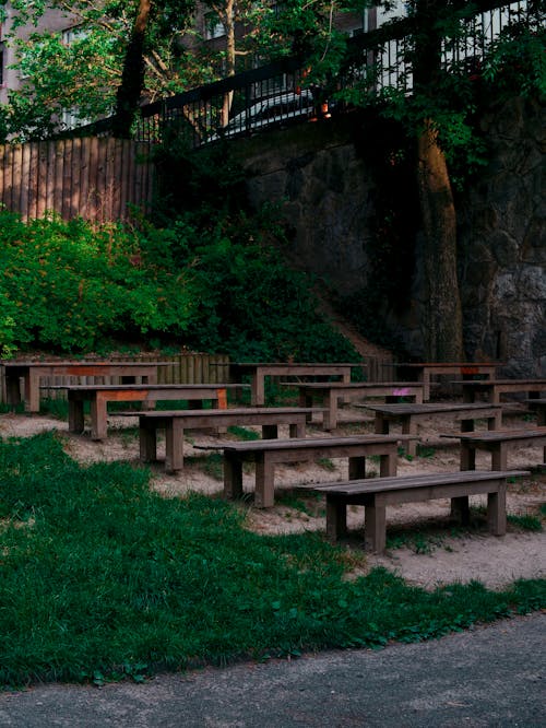 A group of benches in a park with trees