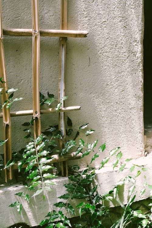 Foto d'estoc gratuïta de a l'aire lliure, antic, arquitectura