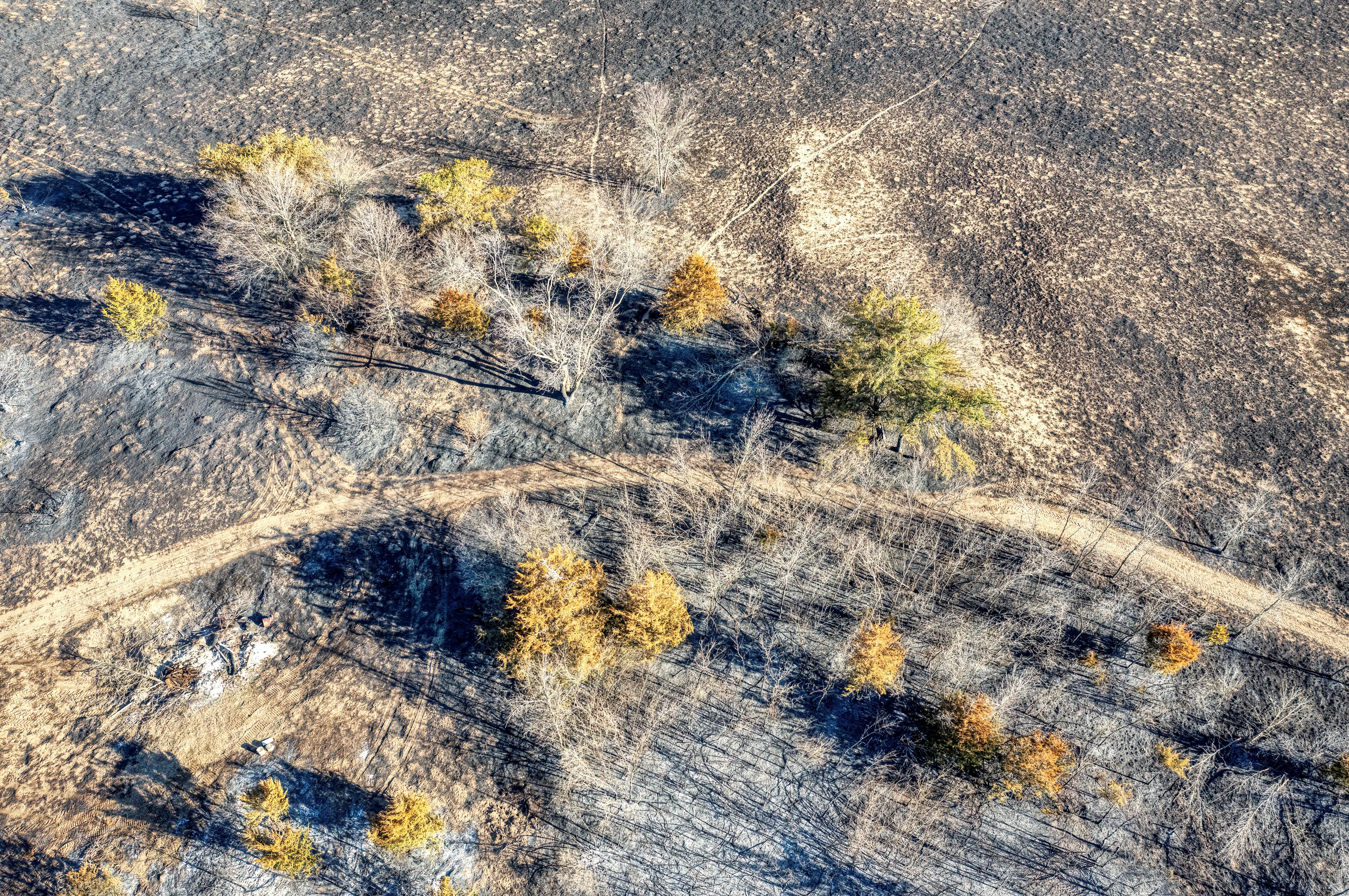 climate resilience drought mitigation — Photo by Tom Fisk on Pexels