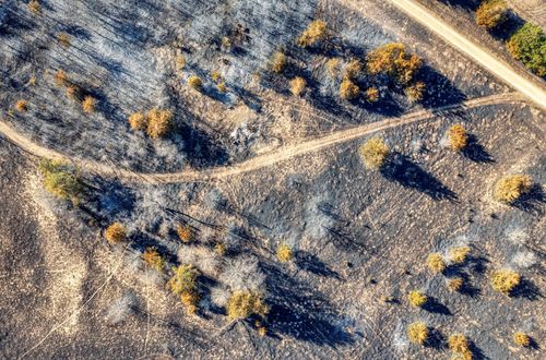 Free Aerial shot of a barren autumn landscape with a winding dirt road and scattered trees. Stock Photo