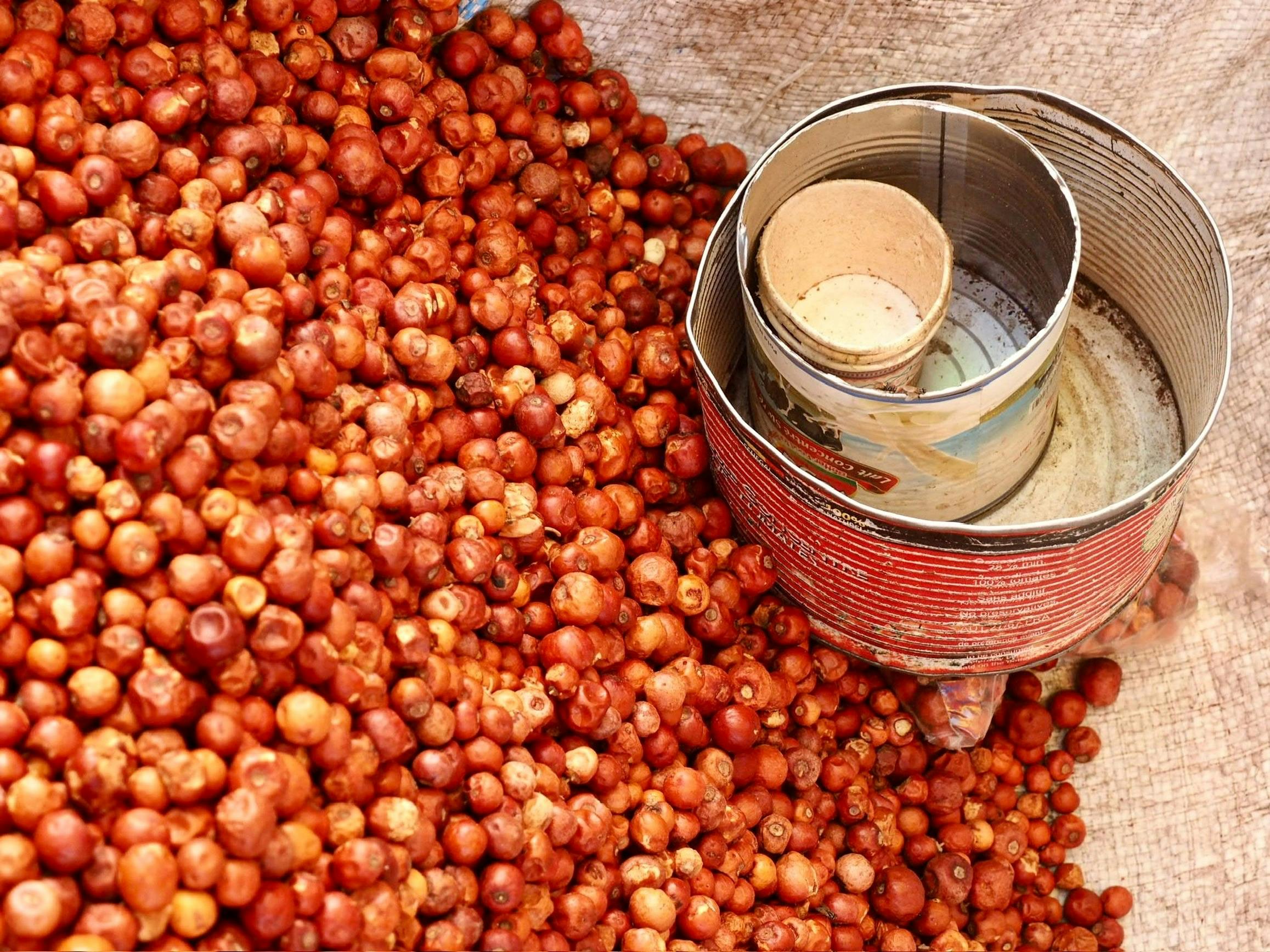 A heap of dried groundnuts with an empty tin can on a sack, viewed from above.