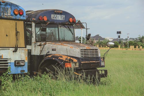 Two old school buses sitting in a field