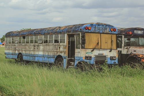 Two old buses sitting in a field with grass