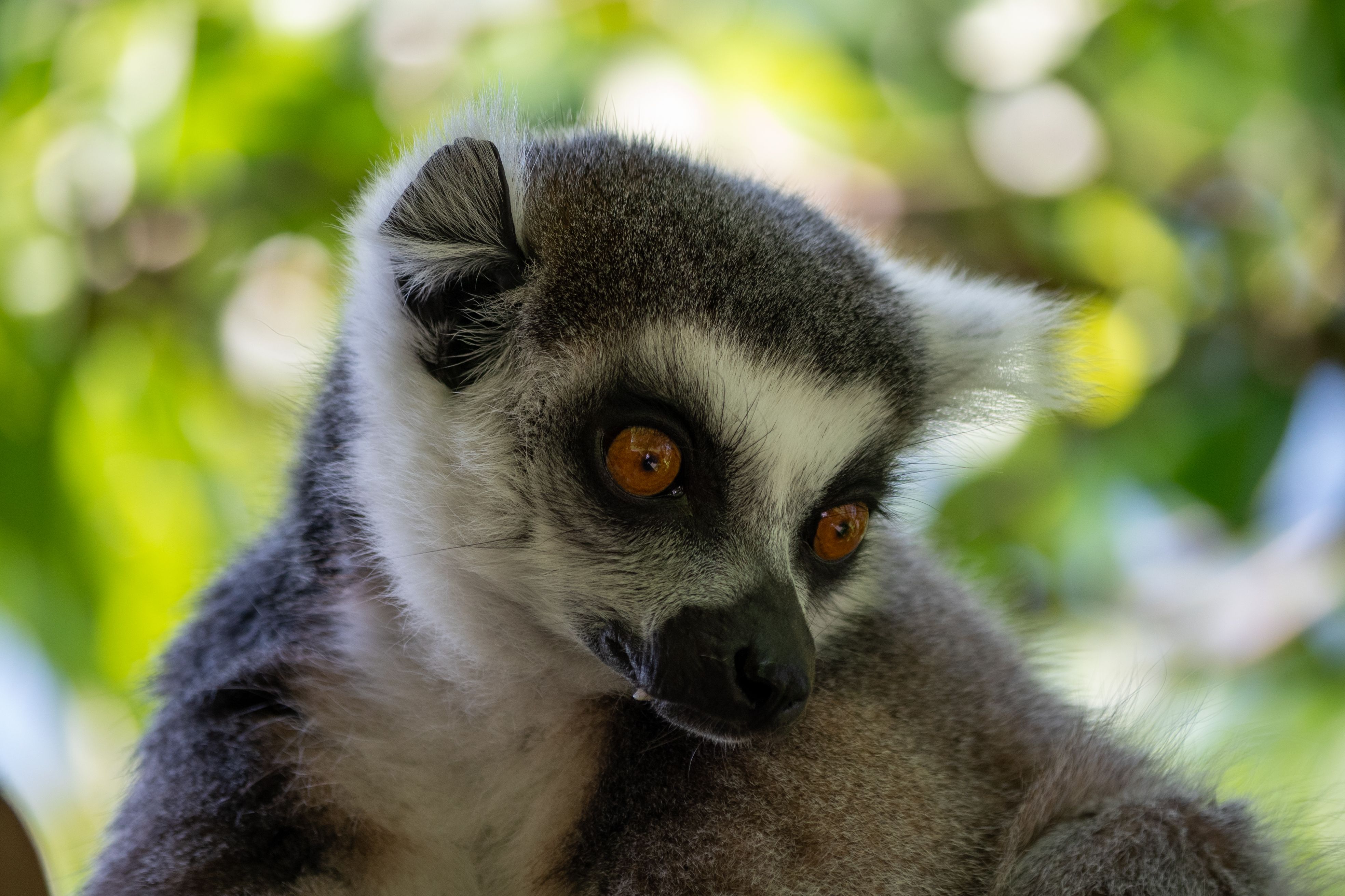 Photo of Madagascar