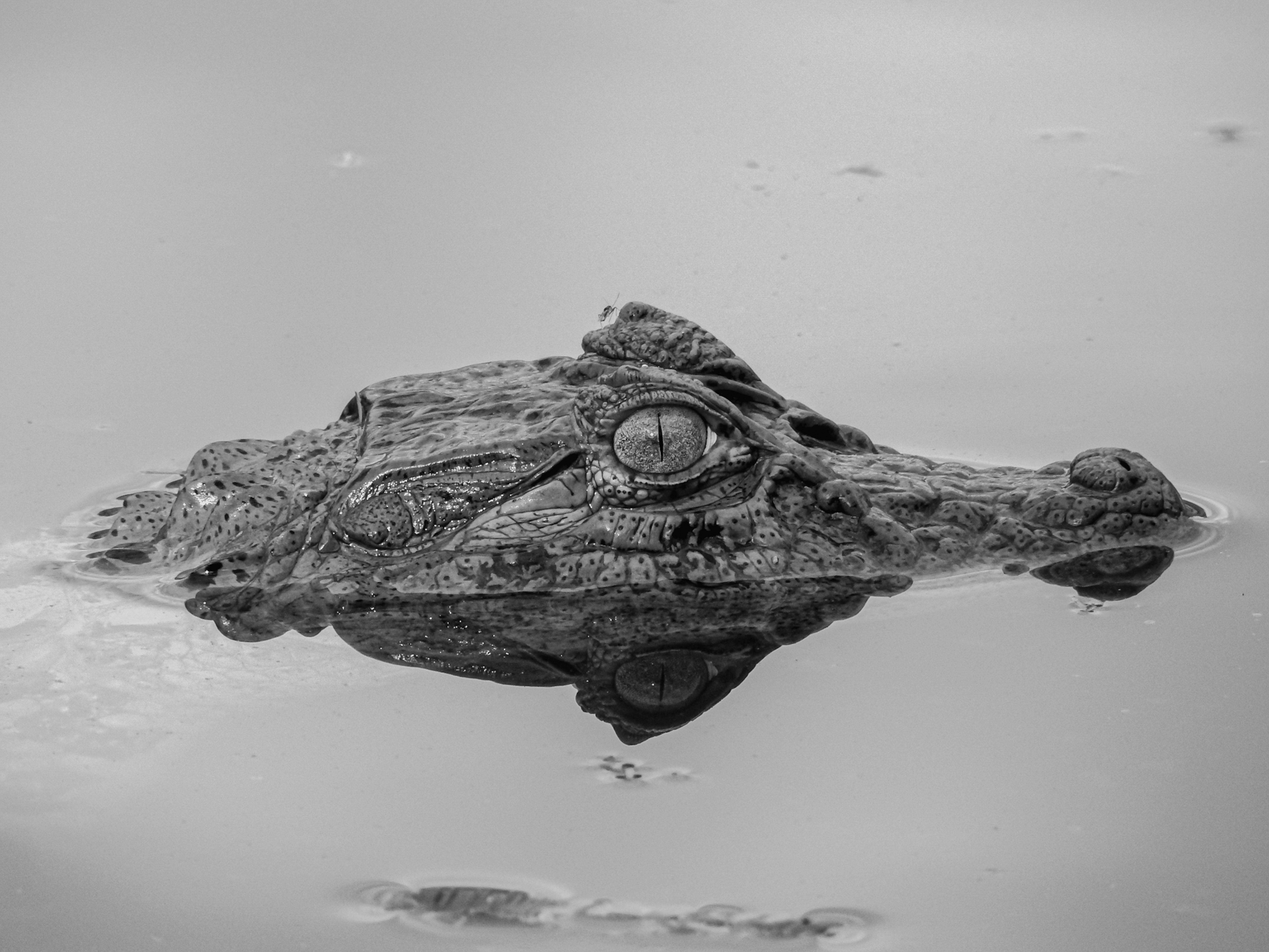 7 In-Demand Roles at Amazon Jobs Bristol That You Shouldn't Miss in 2023