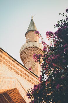 晴朗的天空下，一座精美的清真寺尖塔矗立在五彩缤纷的花朵前