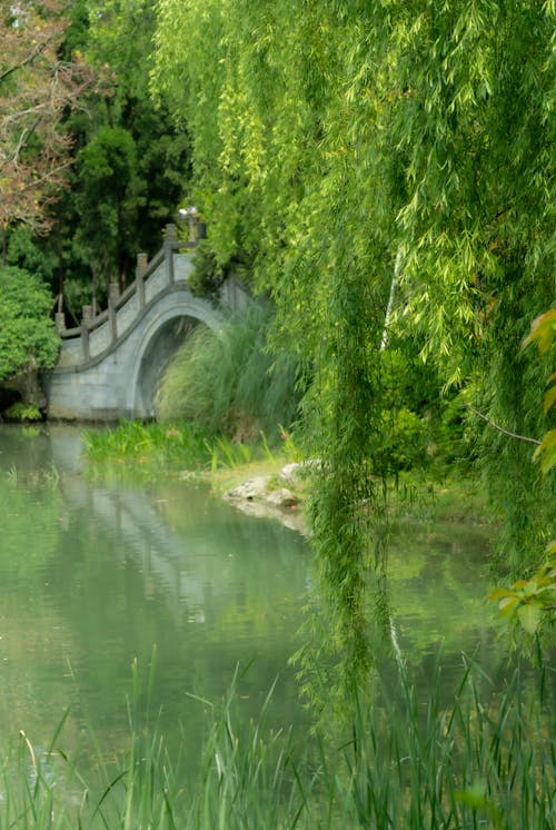 Foto profissional grátis de banco de parque