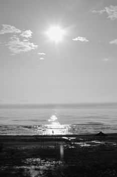 A tranquil black and white photograph capturing the serene beauty of a sunrise over the ocean.