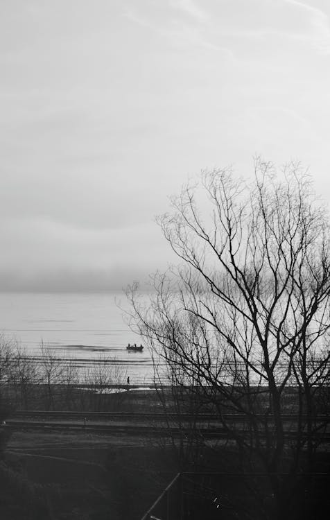 Бесплатное стоковое фото с вода, дерево, зима