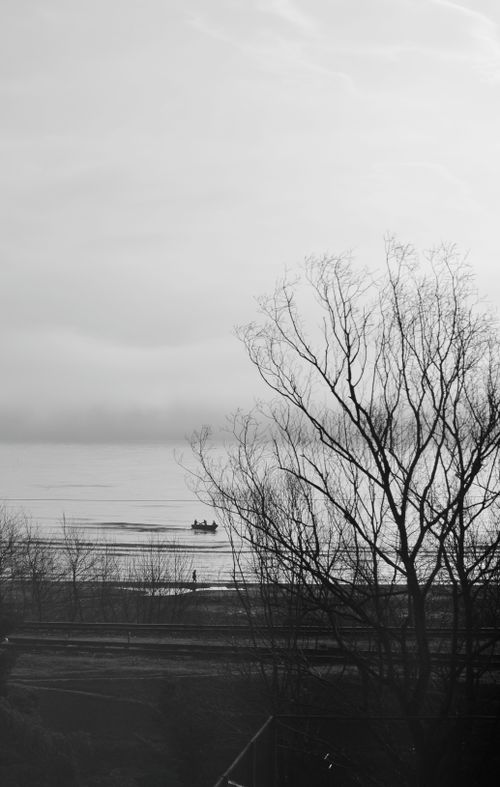 Free Black and white photo of a calm lakeside with bare trees and distant boat. Minimalist and serene. Stock Photo