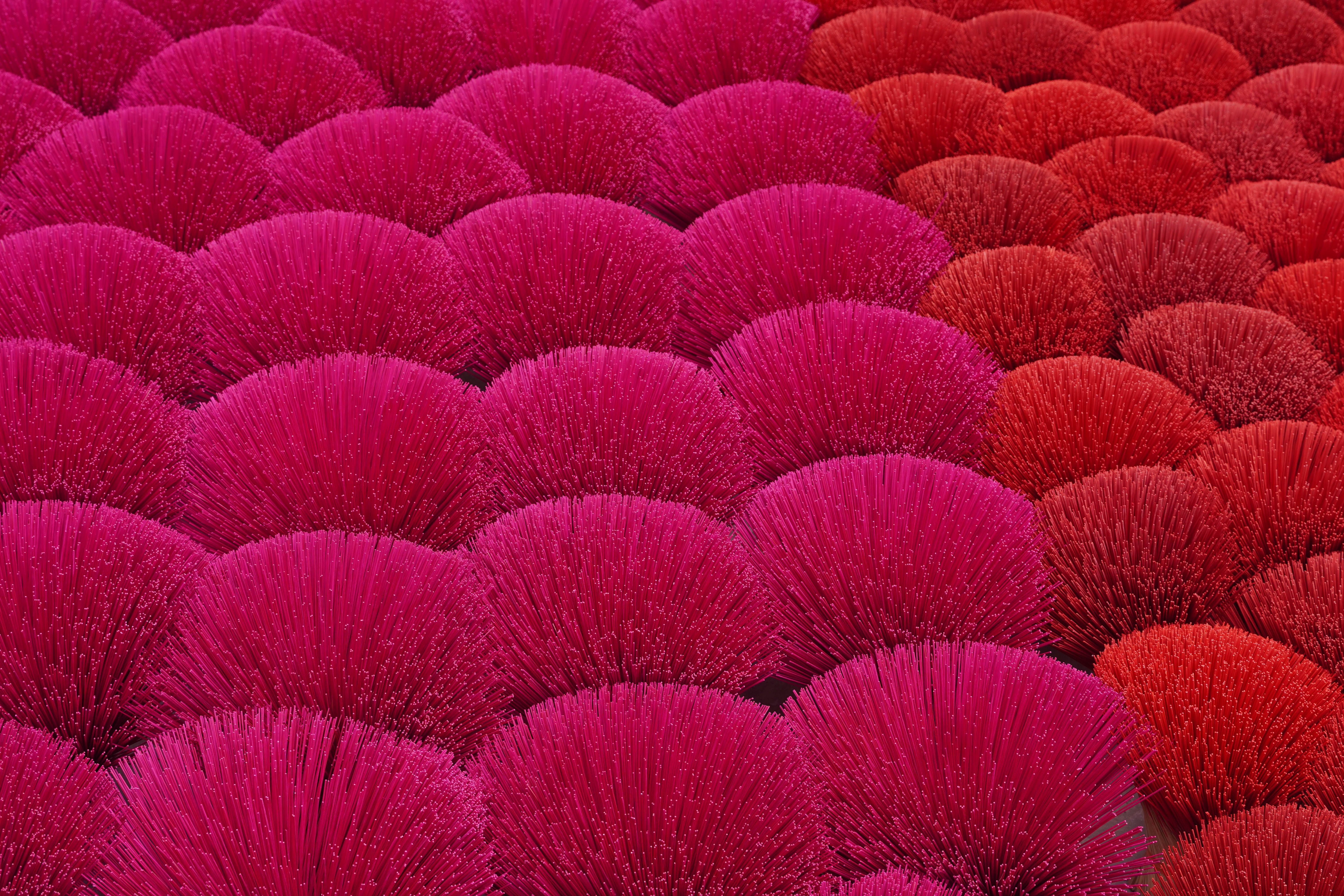Pink Incense Sticks Drying on Sun · Free Stock Photo