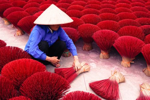 Free An Asian woman in a conical hat arranges bundles of red incense sticks, showcasing traditional craftsmanship. Stock Photo