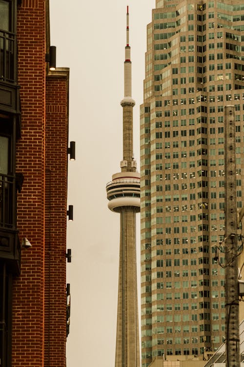 建築物後面的加拿大國家電視塔