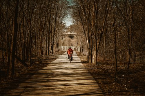 Free A lone cyclist on a forest path surrounded by bare trees during autumn in Hamilton, Ontario. Stock Photo