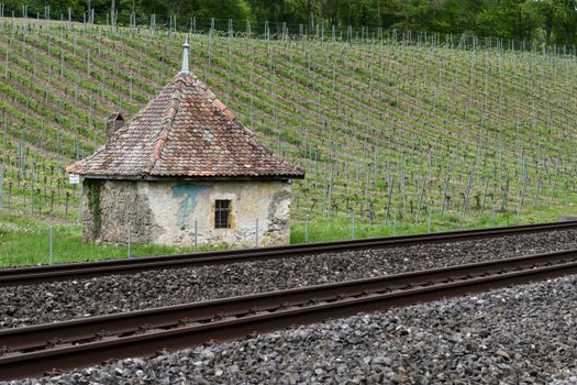 Abandoned Building by Railway Tracks in Vineyard