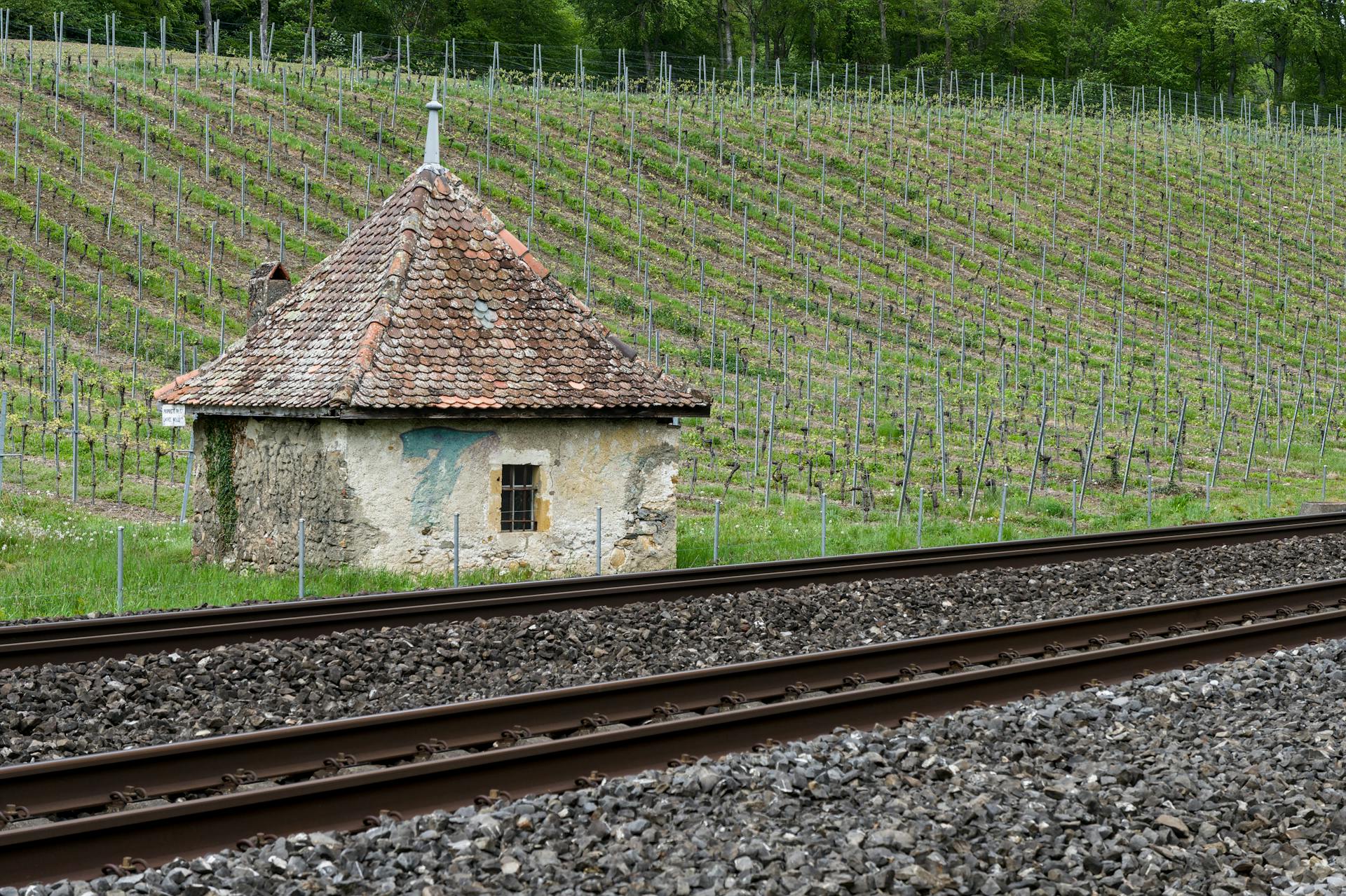 Abandoned Building by Railway Tracks in Vineyard