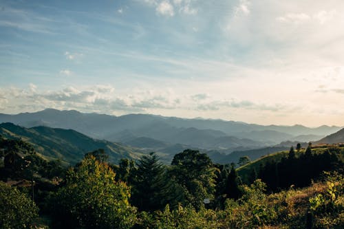 綠樹覆蓋滾動農村