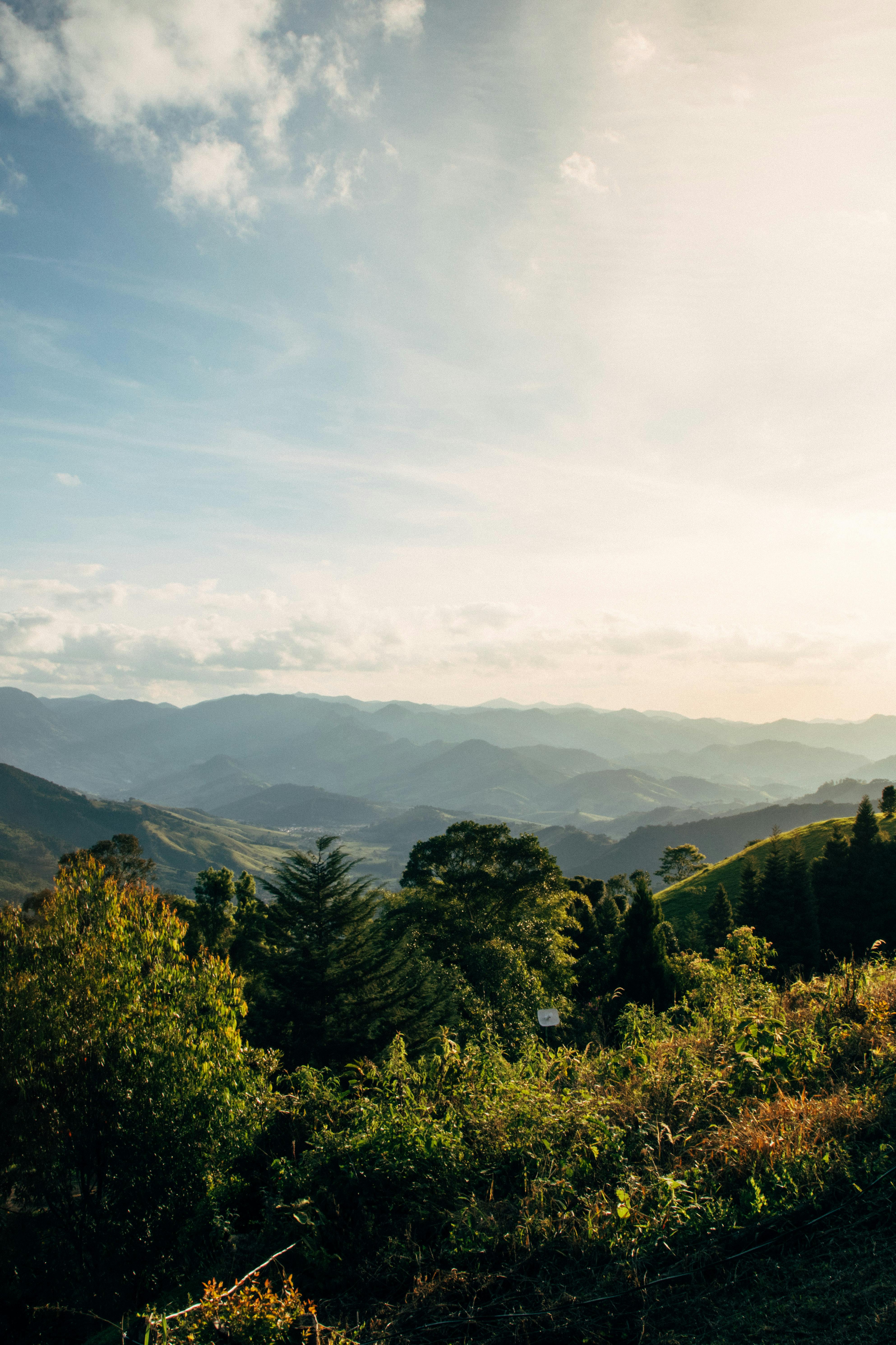 晴朗的天空下，山脉笼罩着雾气，森林郁郁葱葱，一片翠绿