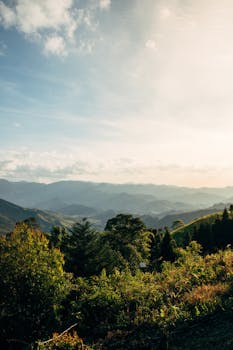 晴朗的天空下，山脉笼罩着雾气，森林郁郁葱葱，一片翠绿