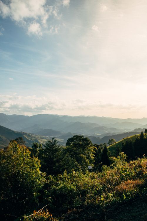 Free Scenic view of fog-covered mountains and lush green forest under a bright sky. Stock Photo