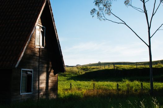 Charming rustic farmhouse in a sunny rural landscape with lush greenery.