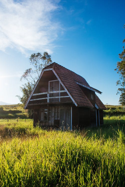 Коричневый деревянный дом в окружении травы