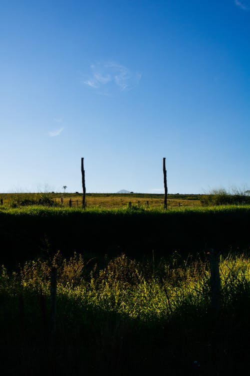 Základová fotografie zdarma na téma farma, hřiště, orná půda