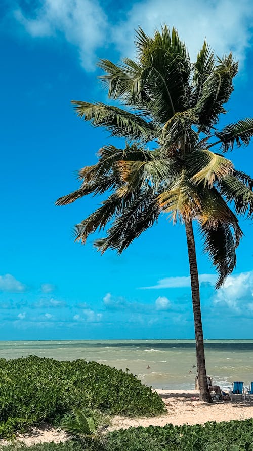 Kostenloses Stock Foto zu am strand, atlantischer ozean, blaues meer