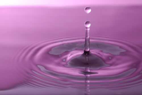Free Water drops Stock Photo