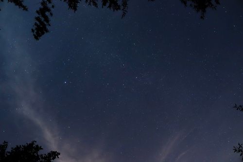 Free A breathtaking view of a starry night sky framed by tree branches. Stock Photo