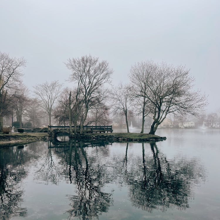 Základová fotografie zdarma na téma bazén, dřevo, jezero