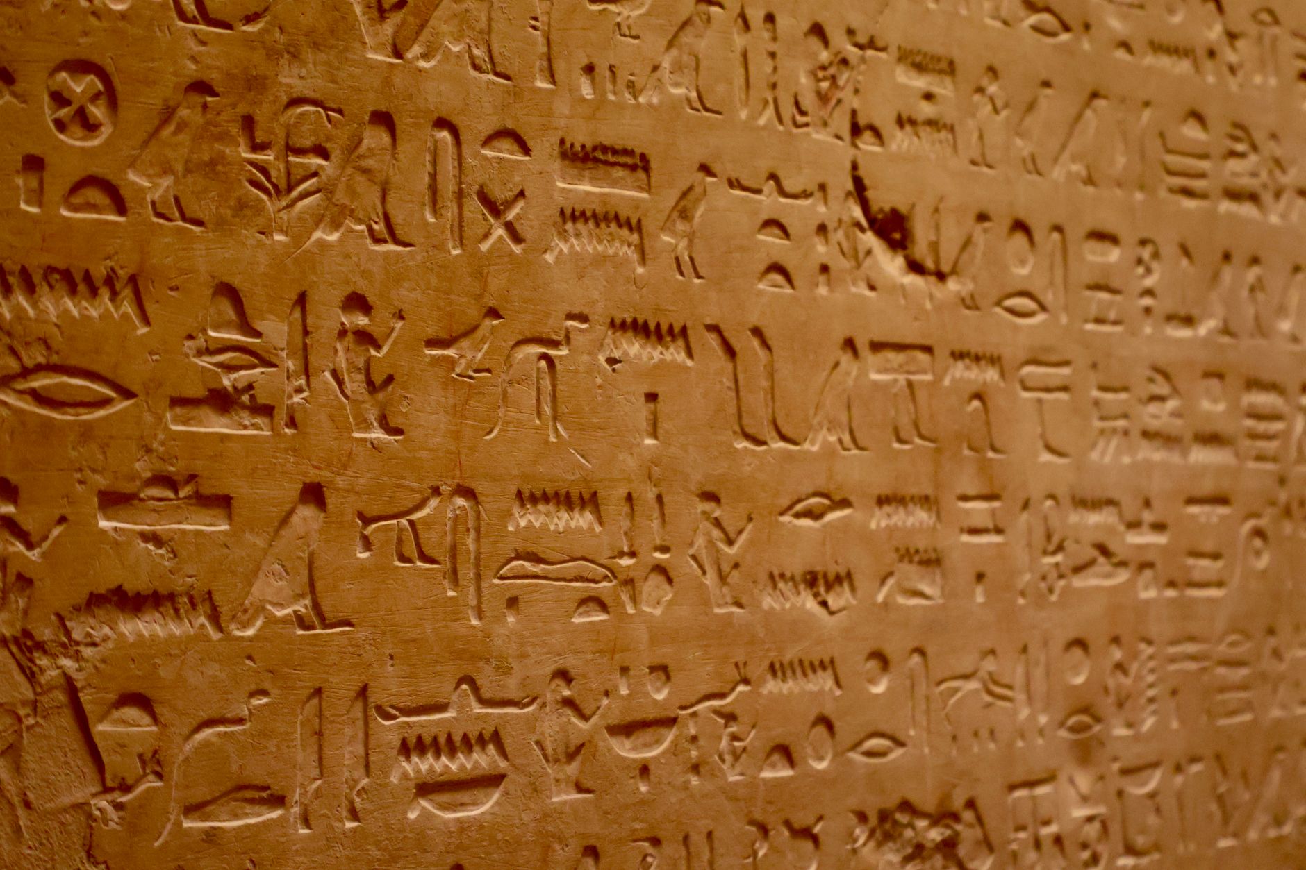 Close-up of ancient Egyptian hieroglyphs carved on a sandstone tablet displayed in a museum exhibit.