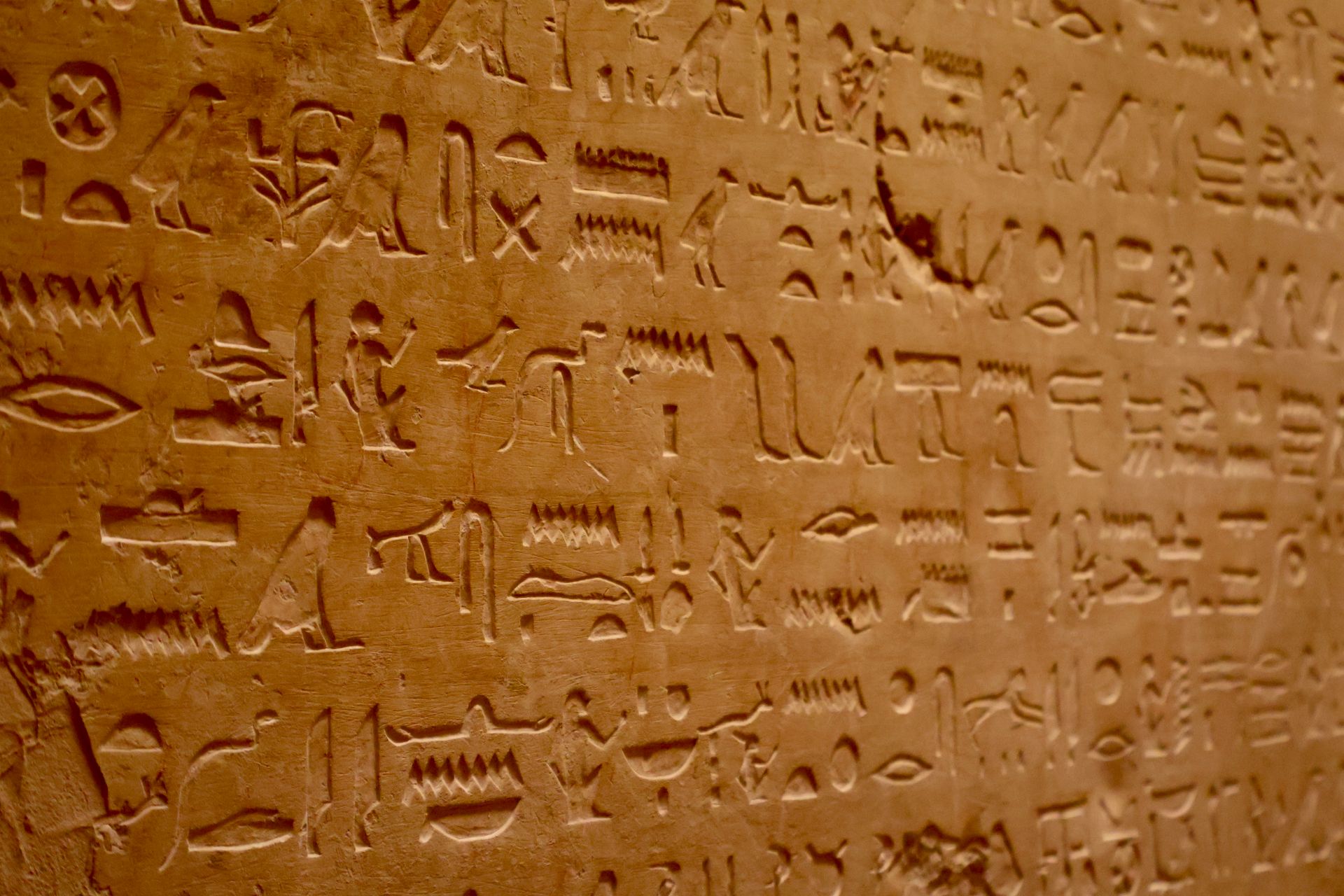Ancient stone tablet inscribed with hieroglyphs on museum display