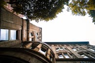 低角度镜头下的经典建筑，以树木为框，映衬着晴朗的天空