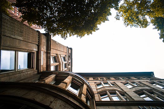 低角度镜头下的经典建筑，以树木为框，映衬着晴朗的天空