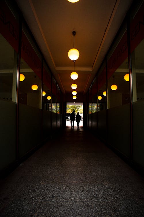 Silhouette Of People Walking Inside Room