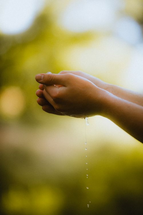 Close-up of cupped hands with water drops