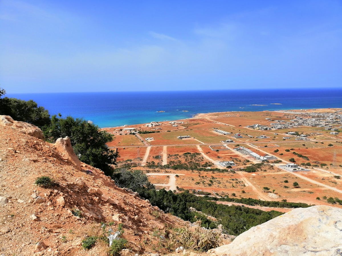 New Orleans Food and Hotel Guide