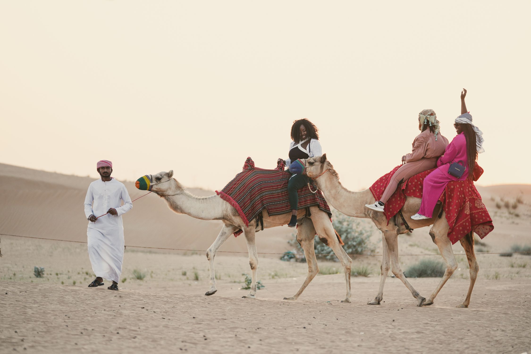Camels Being Ridden Women Riding Camels on Desert · Free Stock Photo