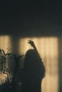 A person is silhouetted against a window with a plant