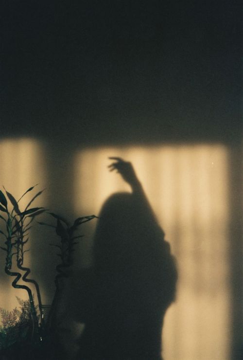 Free A moody silhouette of a woman's shadow cast on an indoor wall with plants. Stock Photo