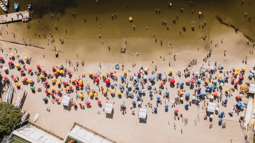 Umbrellas by the Shore 