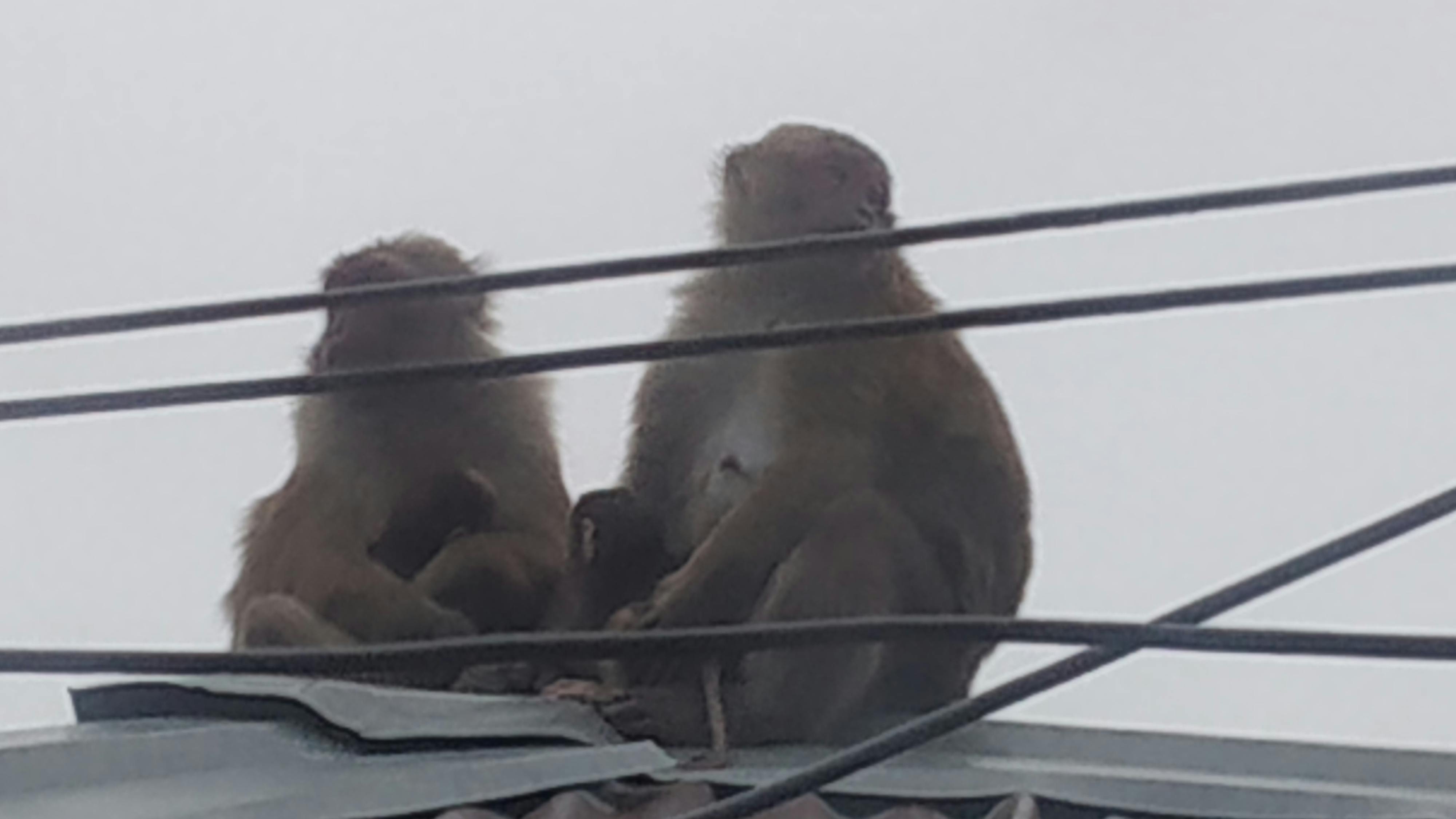 What Is The Difference Between Coolsculpting And Cryotherapy Difference