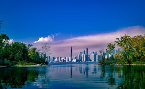 City Near the Forest and Body of Water