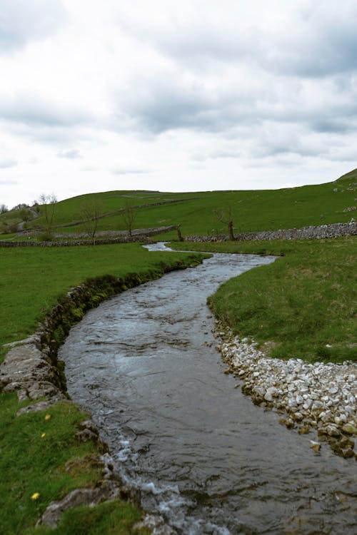 A stream runs through a grassy field