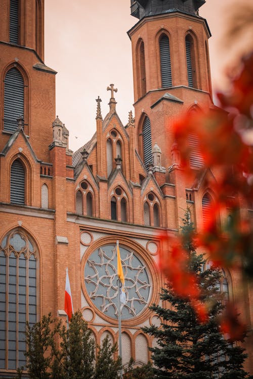 A large cathedral with a clock tower and red leaves