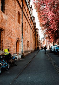 漫步牛津迷人的街道，探索两旁排列着自行车和秋日繁树的历史建筑